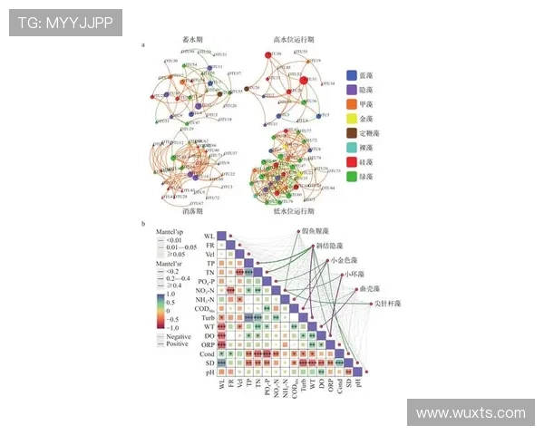 广州足球队在大师赛中的速度优势分析与表现点评